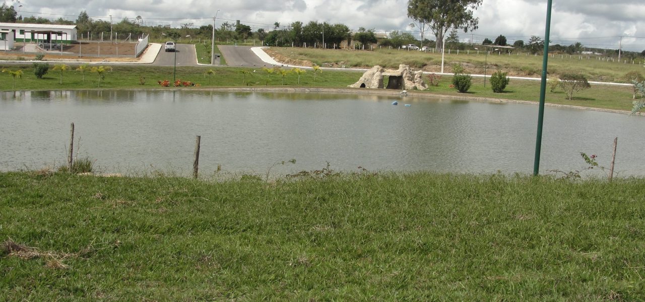 Lote no Horto Premier tamanho diferenciado